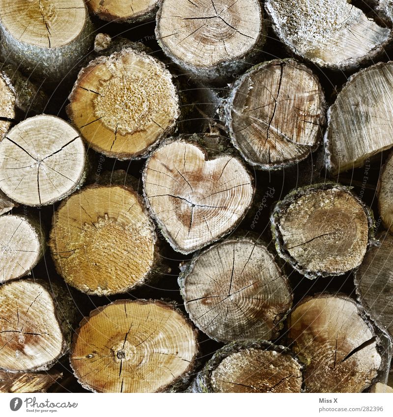 Auch ein Herz gefunden Holz braun Gefühle Liebe Verliebtheit Baumstamm Holzstruktur Brennholz Jahresringe herzförmig Baumrinde baumschlag fällen Farbfoto