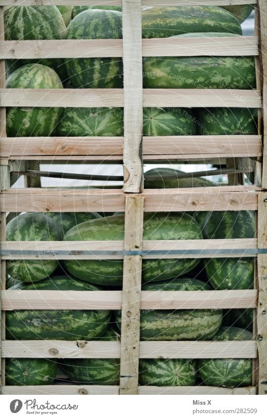 Im Kasten Lebensmittel Frucht Ernährung Bioprodukte frisch Gesundheit groß lecker rund saftig süß grün Wassermelone Melonen Kiste Obstkiste Wochenmarkt