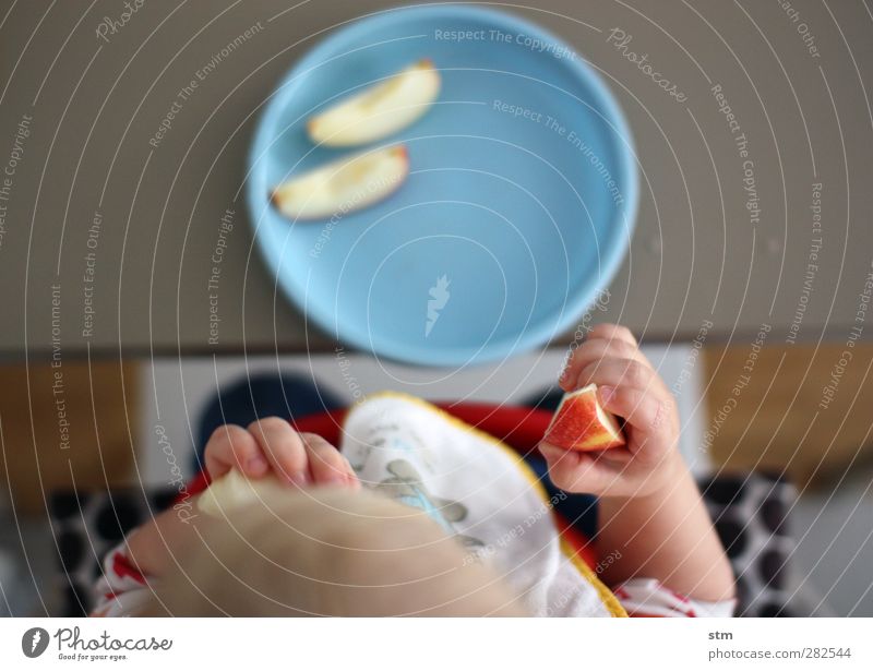 Kleinkind isst Äpfel Lebensmittel Frucht Apfel Ernährung Bioprodukte Vegetarische Ernährung Fingerfood Teller Schalen & Schüsseln Kind Kindheit Kopf Arme Hand 1