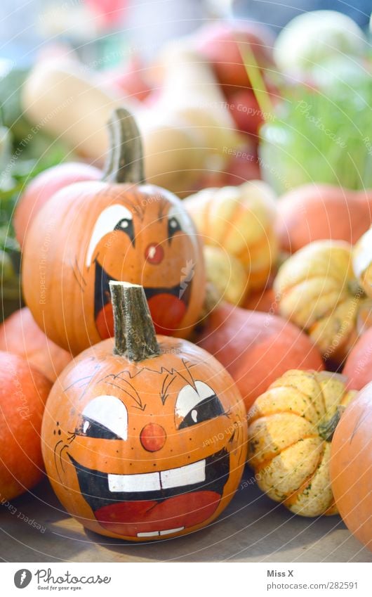 Kopf und Lebensmittel Gemüse Ernährung Bioprodukte Gesicht Auge Lächeln lachen Gefühle Freude Fröhlichkeit Begeisterung Euphorie Kürbis Kürbiszeit Halloween