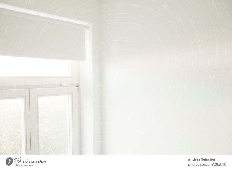 weiße schatten. Haus hell Klarheit reduziert Rollo Sichtschutz Autofenster Fensterrahmen Wand Wohnung Umzug (Wohnungswechsel) Einsamkeit Aussicht