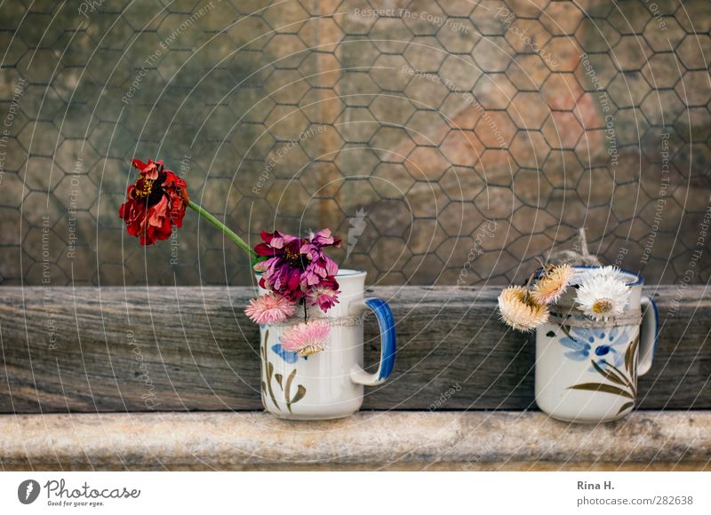 Blumen für den Helden II Becher Blüte verblüht authentisch dankbar Vergangenheit Vergänglichkeit ehren Verehrung Maschendraht Schutz Gemälde herzbewegend