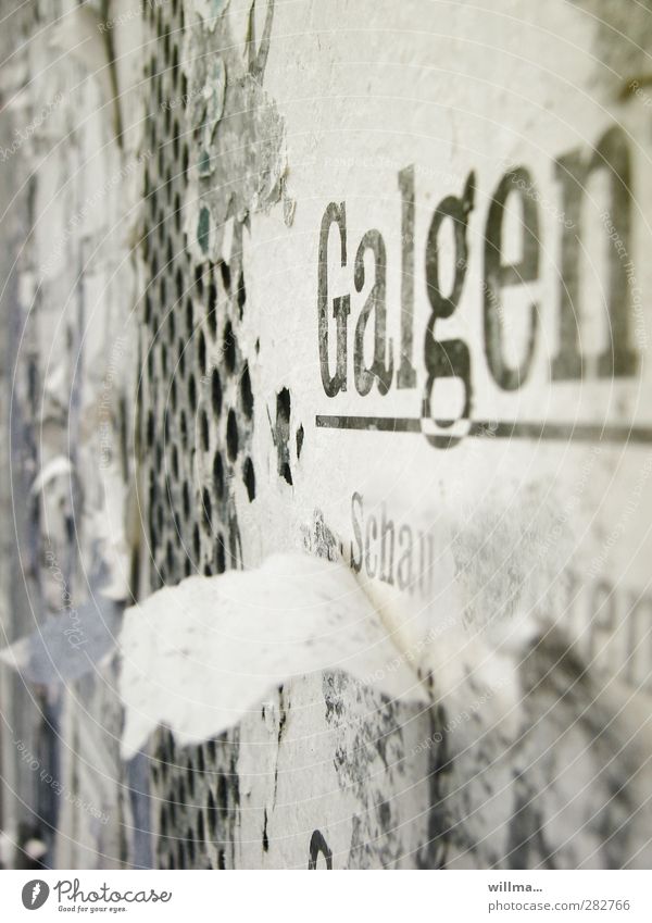 Wenn alle Stricke reißen - das Wort Galgen an einer alten Plakatwand Text Schriftzeichen Mauer Wand Werbebranche Vergangenheit Zerstörung Selbstmord Mittelalter
