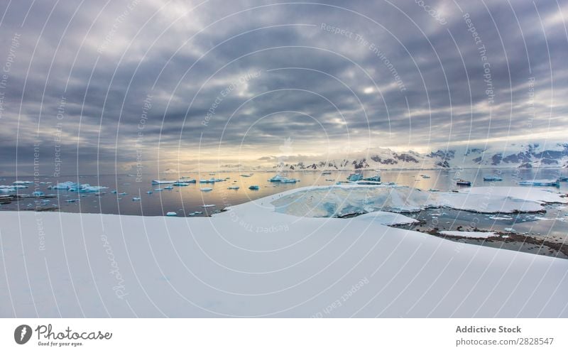 Antarktis Wildnis Naturlandschaft Eis kalt Meer Süden Eisberg Schnee Erwärmung Tierwelt polar Klima Vogel Pinguin Kolonie Außenaufnahme weiß Bucht Landschaft