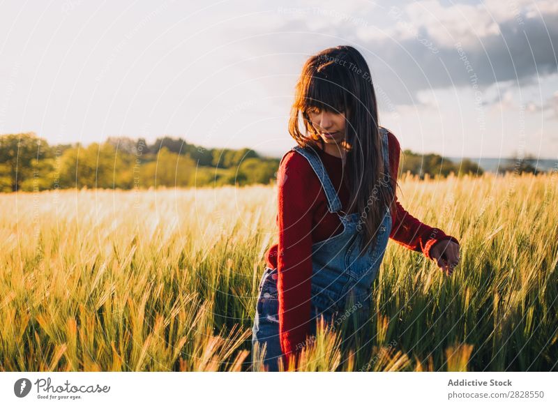 Frau geht auf dem Feld spazieren laufen genießen Abend Natur schön Mädchen Beautyfotografie Jugendliche Gras Wiese Freiheit Fröhlichkeit Sonne Herbst Lifestyle