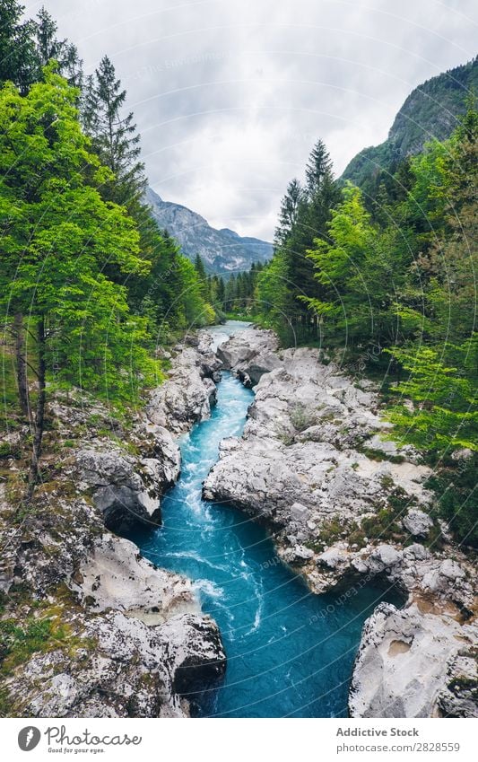 Blauer Fluss, der in den Bergen fließt. Berge u. Gebirge Wald blau klein fließen strömen grün Wasser Landschaft Natur Baum Sommer schön Felsen Aussicht