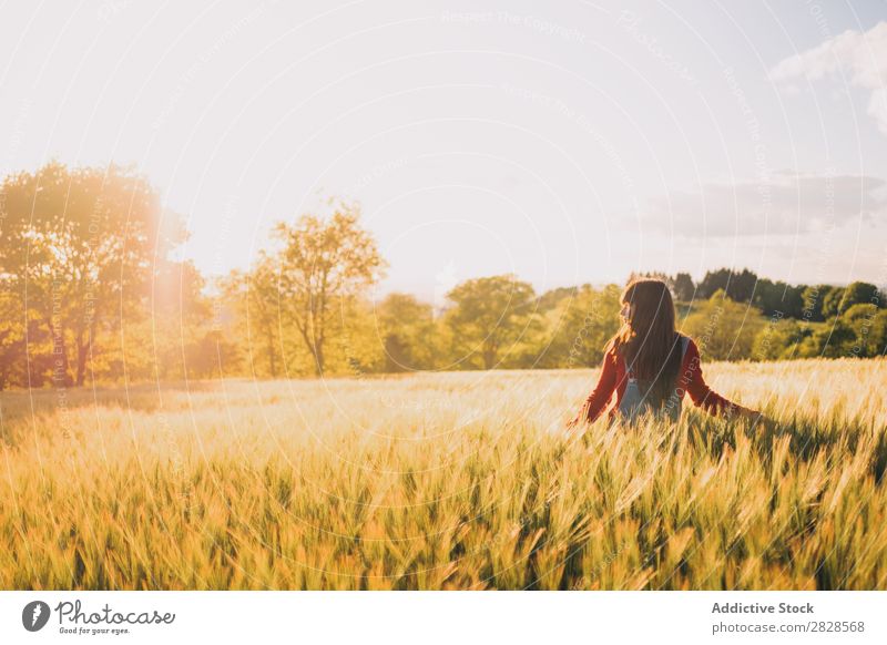Frau geht auf dem Feld spazieren laufen genießen Abend Natur schön Mädchen Beautyfotografie Jugendliche Gras Wiese Freiheit Fröhlichkeit Sonne Herbst Lifestyle