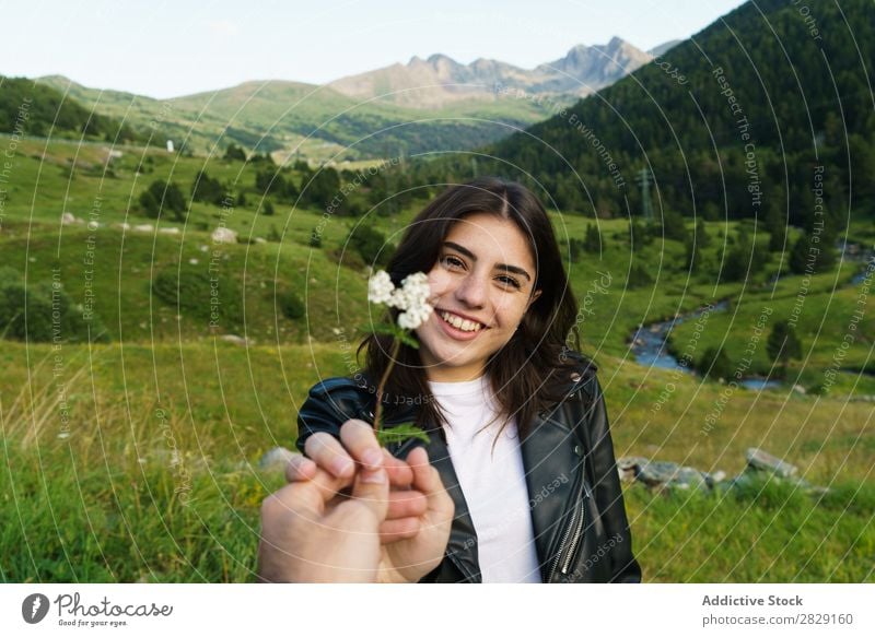 Person, die dem Menschen Blumen schenkt Frau Wiese Feld Hand Fotograf Sommer Natur Mädchen Jugendliche schön Glück Beautyfotografie grün Freude Frühling
