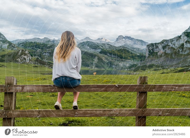 Frau auf der Alm sitzend Wiese Geländer Erholung Berge u. Gebirge Kuh Weide Natur Feld Mädchen Gras schön Jugendliche grün Frühling Mensch Fröhlichkeit Freiheit