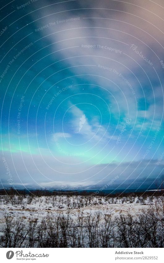 Winterwälder und Polarlicht Natur kalt Norden bedeckt Wald Nacht Abend Schnee Jahreszeiten weiß Landschaft Eis Frost Ferien & Urlaub & Reisen Berge u. Gebirge