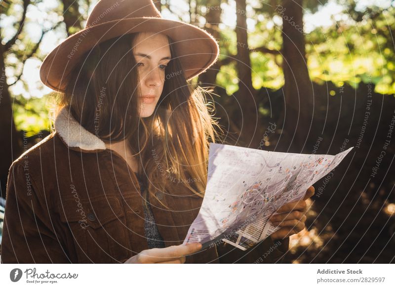 Junge Frau mit Karte auf dem Wald Tourist grün Natur Umwelt hübsch Landkarte lesen Navigation verirrt natürlich Jahreszeiten Pflanze Blatt Licht frisch hell Tag