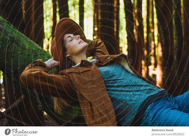Frau entspannt sich auf dem Baumstamm Tourist Wald grün Natur lügen Erholung Rüssel Augen geschlossen Umwelt hübsch natürlich Jahreszeiten Pflanze Blatt Licht