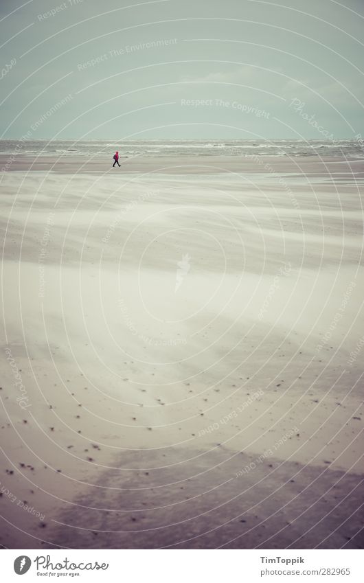 Nowhere #5 Strand Einsamkeit Meer Sand Sandstrand Strandspaziergang einzeln Spaziergang Wellen Traurigkeit sentimental Horizont Langeoog Sturm Sandsturm Wind