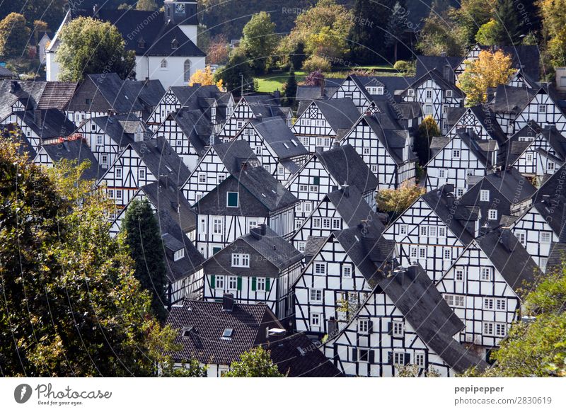 Freudenberg Ferien & Urlaub & Reisen Tourismus Ausflug Städtereise Häusliches Leben Wohnung Haus Sommer Baum Nordrhein-Westfalen Europa Einfamilienhaus