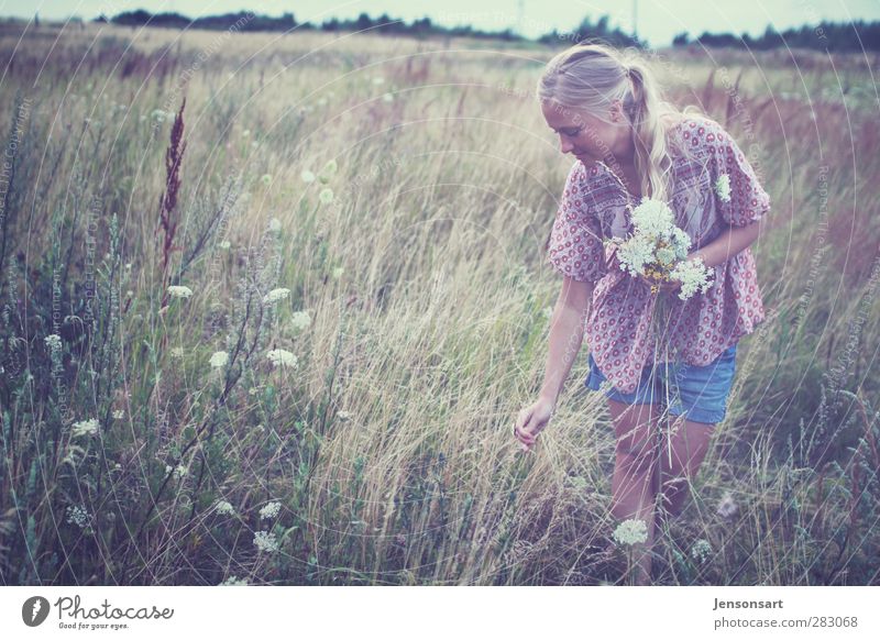 Blondes Mädchen Auf Blumenwiese Ein Lizenzfreies Stock Foto Von Photocase