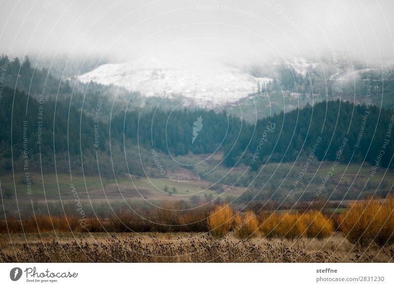 . Natur Landschaft Herbst Winter Nebel Schnee Wald Berge u. Gebirge kalt USA Oregon Farbfoto Außenaufnahme Menschenleer Textfreiraum oben Textfreiraum Mitte