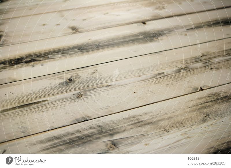 # Umwelt Leben Holz Wald Baum Tod Tisch Tischplatte Tischlerarbeit Maserung unbehandelt Bodenbelag Dielenboden Flur altehrwürdig pupsi Farbfoto