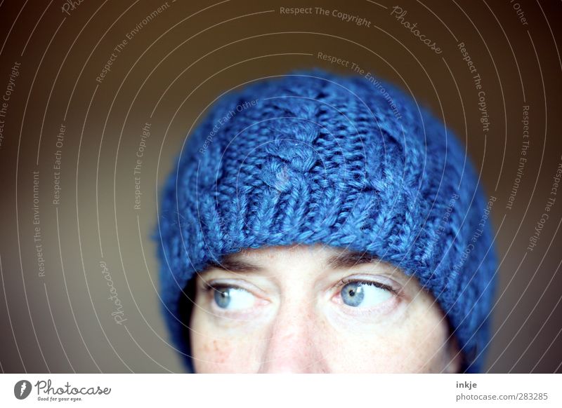 die blaue Mütze I Frau Erwachsene Gesicht Auge 1 Mensch 30-45 Jahre Winter Mode Wolle Wollmütze Blick kuschlig oben Wärme weich kalt Schutz auf dem Kopf