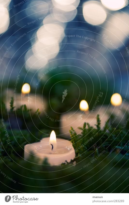Flimmerlicht Feste & Feiern Weihnachten & Advent Kerze Kerzenschein Kerzenstimmung Kerzenflamme glänzend leuchten blau brennen Farbfoto Innenaufnahme
