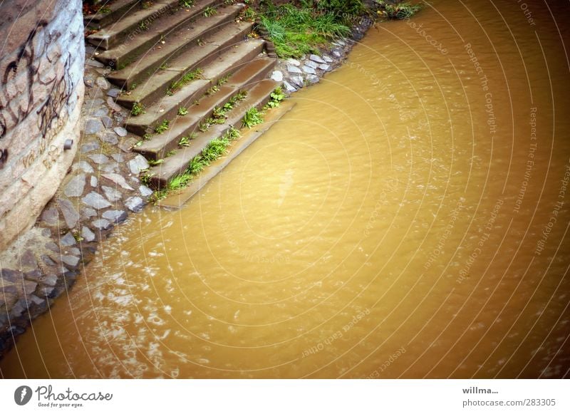 Treppe in den Fluss Umwelt Natur Wasser Flussufer dreckig braun gelb Überleben Umweltverschmutzung Böschung Mauer Uferbefestigung Apokalypse untergehen steil