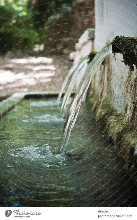 An der Quelle Getränk Trinkwasser Umwelt Natur Urelemente Wasser Sommer Insel Kreta Griechenland Mauer Wand Flüssigkeit frisch Gesundheit kalt natürlich