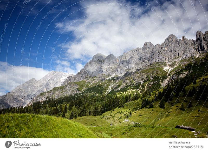 Hochkönig Umwelt Natur Landschaft Pflanze Himmel Wolken Schönes Wetter Alpen Berge u. Gebirge Gipfel Gletscher ästhetisch groß blau grau grün Mühlbach