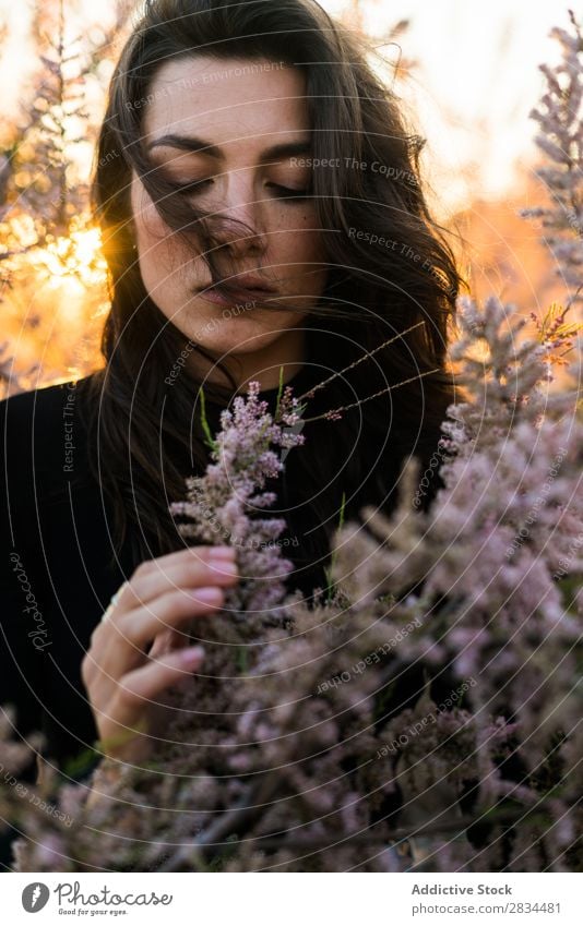 Brünette, die sinnlich posiert. Frau Körperhaltung Model Blume Porträt Jugendliche frisch romantisch schön elegant attraktiv modisch natürlich brünett genießen