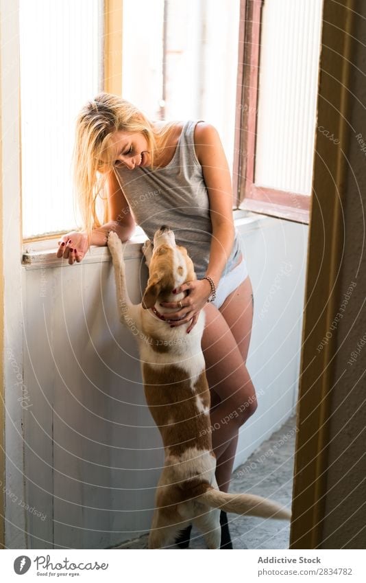 Sexy junge Frau zu Hause, die mit ihrem Hund spielt. Haustier Liebe Mensch Jugendliche Erotik Mädchen Kaukasier Glück heimwärts hübsch schön heiter Erholung