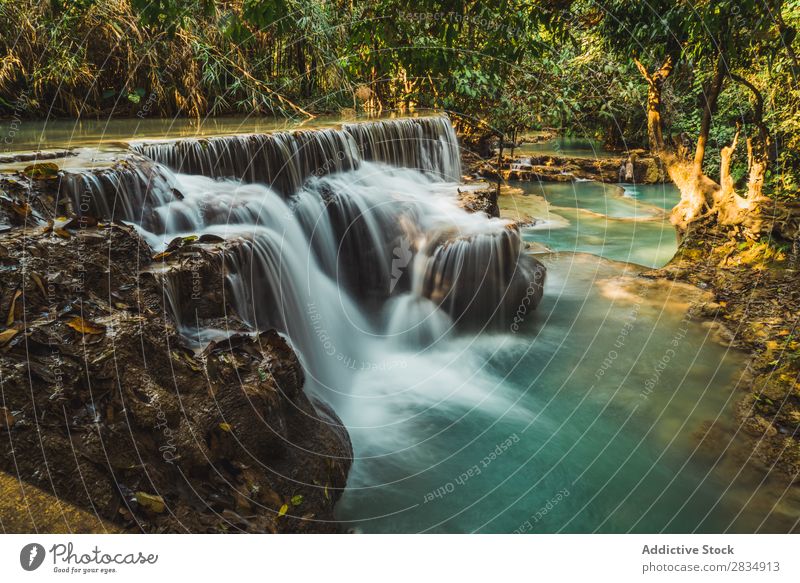 Wunderschöne kleine Wasserfälle fließend Wald Kaskade Natur Landschaft Ferien & Urlaub & Reisen Fluss Wasserfall Park grün strömen Tourismus Urwald tropisch