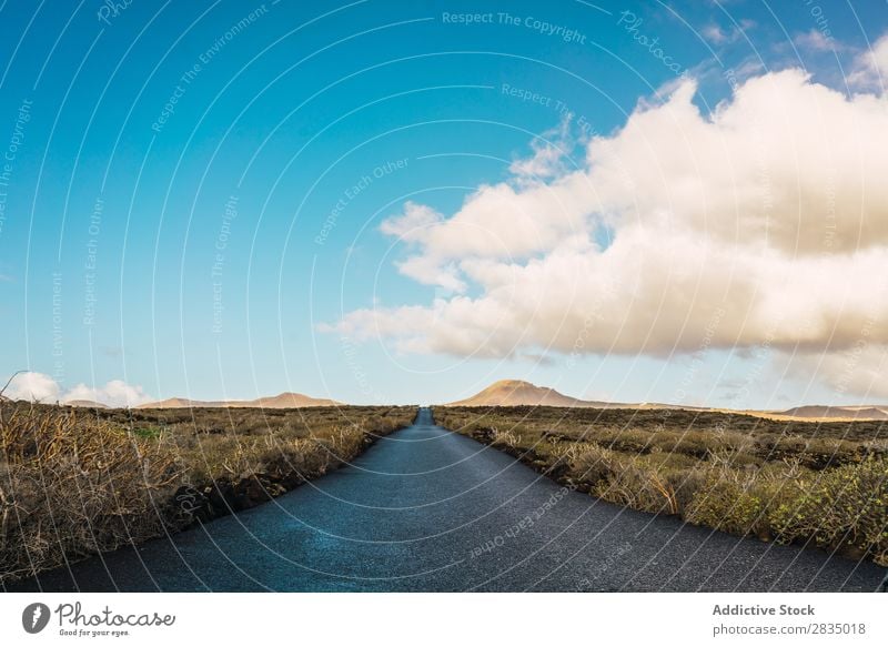 Landschaft der Straße im Feld regenarm Wolken Natur natürlich Felsen Stein Lanzarote Spanien Aussicht Ferien & Urlaub & Reisen Tourismus Ausflug gelb Hügel