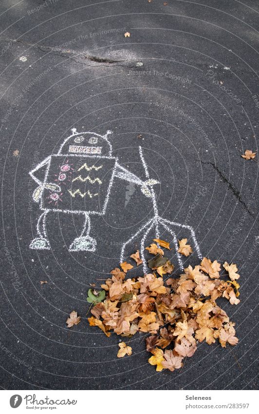 heißer Feger Strassenmalerei Natur Herbst Pflanze Blatt Straße Rechen Reinigen lustig Roboter Kreide Kreidezeichnung aufräumen Farbfoto Außenaufnahme