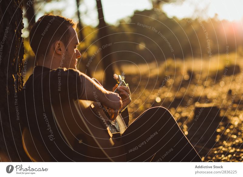 Mann spielt Gitarre in der Natur Musik Wald Sonnenstrahlen Tag anlehnen sitzen Rüssel Lifestyle Musiker lässig Gitarrenspieler akustisch Herbst Musical Mensch
