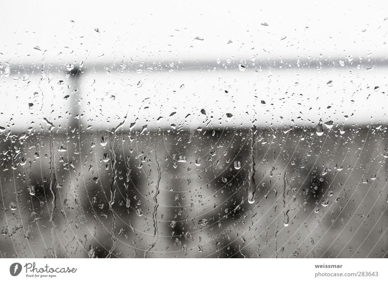 Regenblick Wasser Wetter schlechtes Wetter Cottbus Menschenleer dunkel kalt nass trist Stadt grau weiß Gedeckte Farben Außenaufnahme Innenaufnahme Tag Licht
