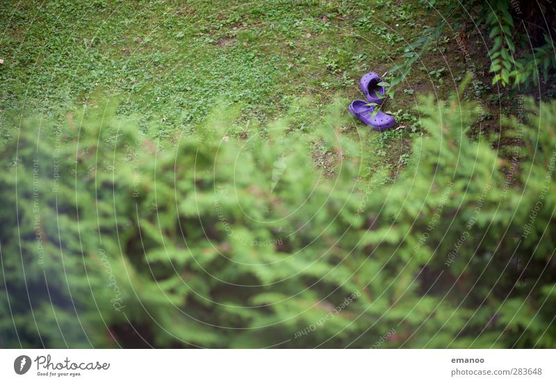 einsame Gummischlappen Umwelt Natur Landschaft Pflanze Gras Sträucher Garten Park Schuhe Flipflops grün violett Fundstück crocks Sandale Gartenarbeit liegen