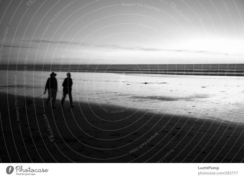 Old Friends wandern Strand Meer Wasser Sand Sandstrand 2 3 Horizont Schatten Silhouette Reflexion & Spiegelung Hund Mann Freundschaft Verbundenheit Zusammensein