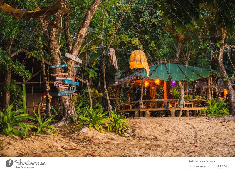 Kleines Holzhaus mit Strohdach Haus klein tropisch grün Sommer Trinkhalm Phi Phi island koh Natur Architektur heimwärts Gebäude schön Design natürlich