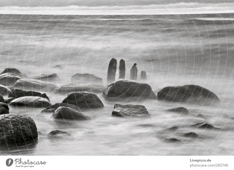 wilde Küste Umwelt Natur Landschaft Wasser Herbst schlechtes Wetter Unwetter Wind Wellen Strand Ostsee Meer Holz grau schwarz weiß Stein Schwarzweißfoto