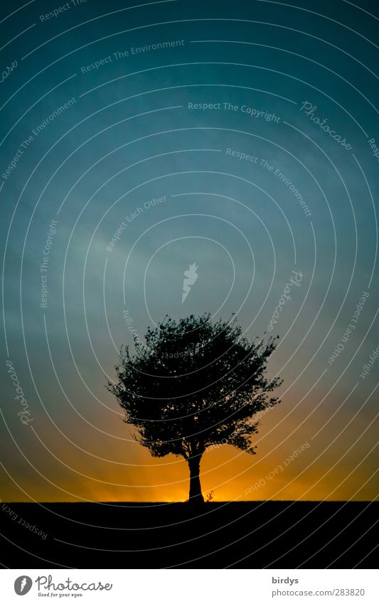 Die 5 Elemente... Natur Landschaft Gewitterwolken Sonnenaufgang Sonnenuntergang Wetter Baum leuchten ästhetisch außergewöhnlich bedrohlich fantastisch blau