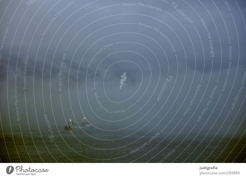 Island Umwelt Natur Landschaft Wasser Wolken Klima Wetter schlechtes Wetter Nebel Fjord Schifffahrt Bootsfahrt Fischerboot fahren außergewöhnlich bedrohlich