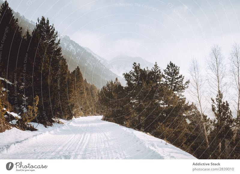 Landstraße in schneebedeckten Hügeln Straße Winter Fluggerät Aussicht Berge u. Gebirge Schnee Landschaft Natur weiß Eis Jahreszeiten kalt
