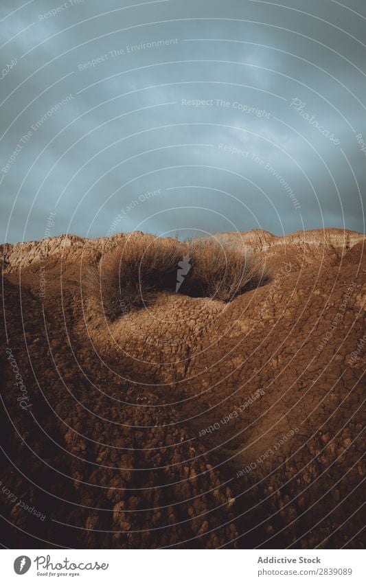 Trockenes Gras auf dem Hügel Natur regenarm Landschaft Ferien & Urlaub & Reisen Wüste Landen Sand Boden Umwelt gelb Stein Wildnis schön natürlich Sonnenlicht