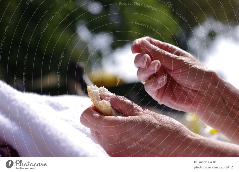 Mahlzeit... feminin Großmutter Haut Hand Finger 60 und älter Senior Essen füttern alt natürlich Appetit & Hunger Zeit sensibel verwundbar Brot trocken reif