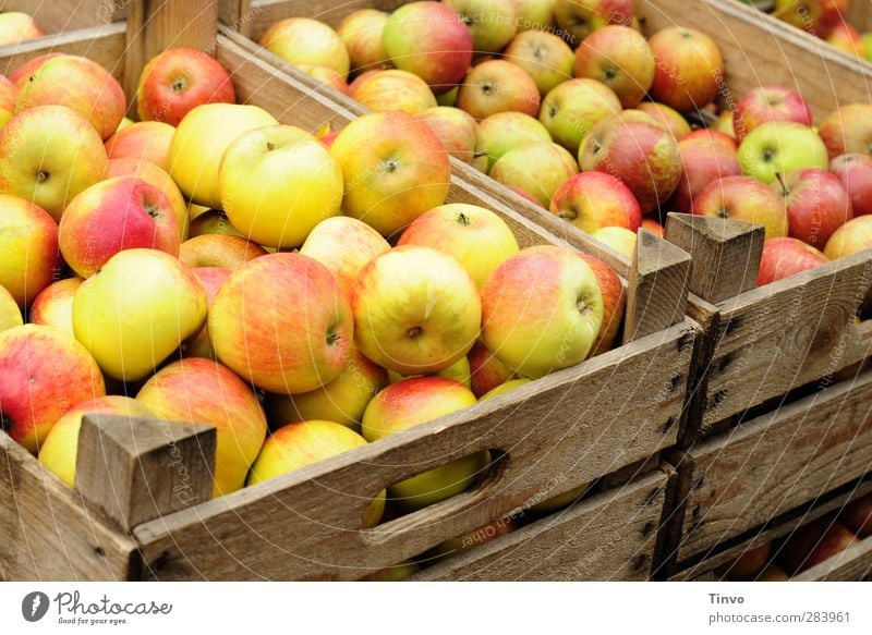 Äpfel in Holzkisten Lebensmittel Apfel Bioprodukte Vegetarische Ernährung frisch Gesundheit natürlich rund saftig süß rot Markttag Apfelernte Herbst knackig