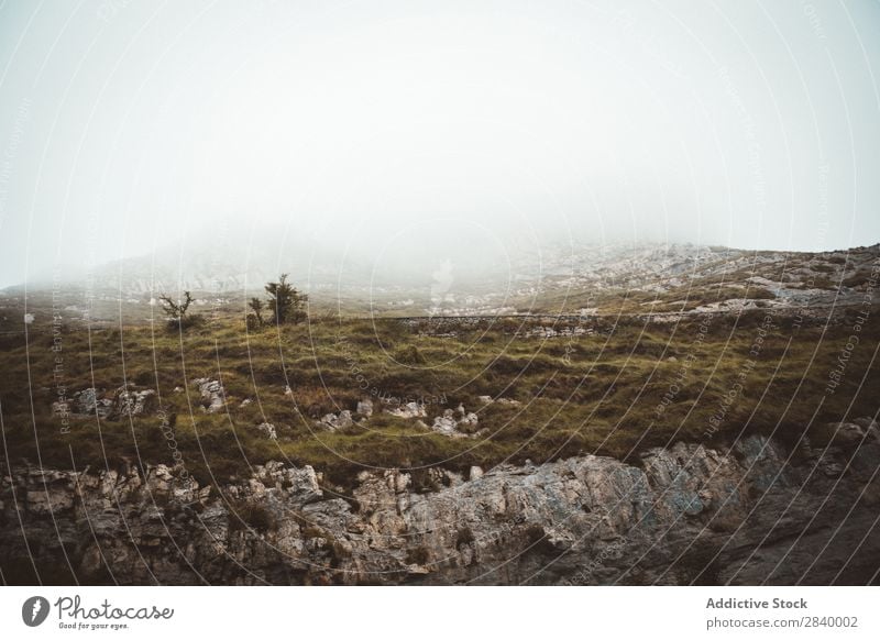 Felsiges Gelände im Nebel Felsen Landschaft Tal Panorama (Bildformat) majestätisch abgelegen Wildnis Umwelt Ferien & Urlaub & Reisen Schlucht Wolken Natur
