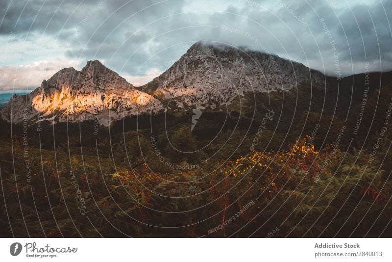 Malerische Aussicht auf die Berge bei Sonneneinstrahlung Berge u. Gebirge Wald Sonnenlicht Sonnenstrahlen Landschaft Panorama (Bildformat) Szene dramatisch