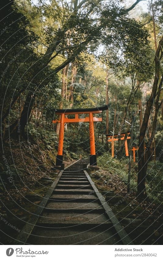 Pfad in Wäldern mit sakralen Toren heilig Garten torii Orientalisch Architektur ausleeren Jahreszeiten Kultur Perspektive Religion & Glaube Tradition