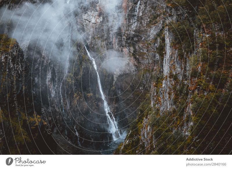 Dünner Wasserfall im Berg Berge u. Gebirge fließen dünn strömen Natur grün Aussicht Hügel Klippe Felsen Pflanze schön natürlich Jahreszeiten frisch Umwelt Wald