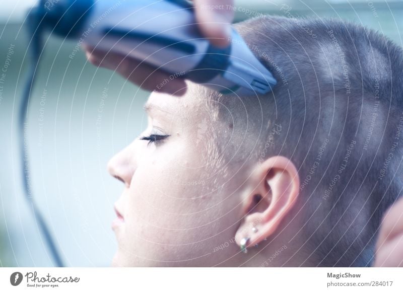 Fenster in den Kopf rasiert Haare & Frisuren Gesicht feminin Junge Frau Jugendliche Erwachsene Ohr 1 Mensch 13-18 Jahre Kind 18-30 Jahre schön weich blau grün