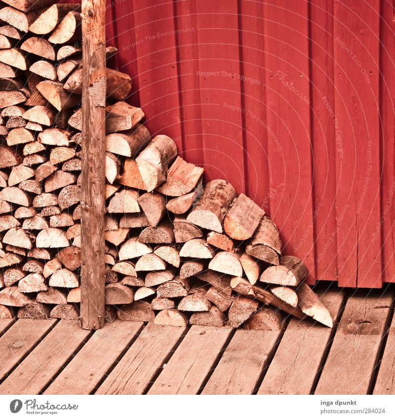 Werk eines Holzfällers Winter natürlich heizen Brennholz Stapel Vorrat Farbfoto Außenaufnahme Textfreiraum oben Tag Schatten Starke Tiefenschärfe