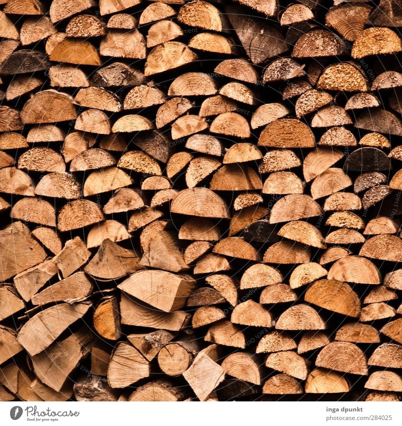 ... im Detail Umwelt Natur Herbst Winter Baum natürlich heizen Brennholz Warmherzigkeit Holzfäller holzofen Ofenheizung Farbfoto Außenaufnahme